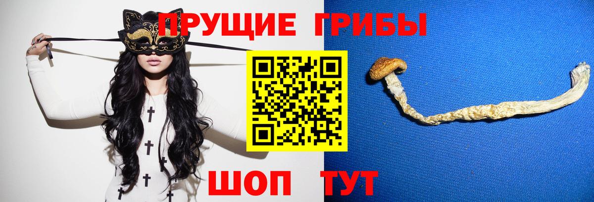 Ростов-на-Дону  где продают наркотики  Псилоцибиновые грибы Cubensis  Вход с VPN  Псилоцибиновые грибы мухоморы 